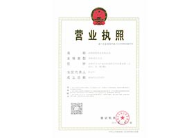 诺铂实业营业执照正本